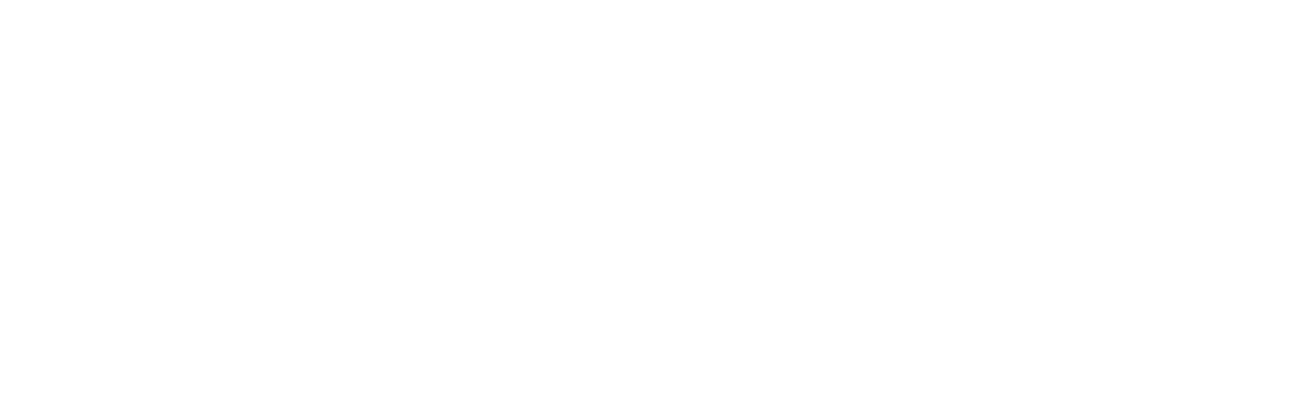 IVRIS